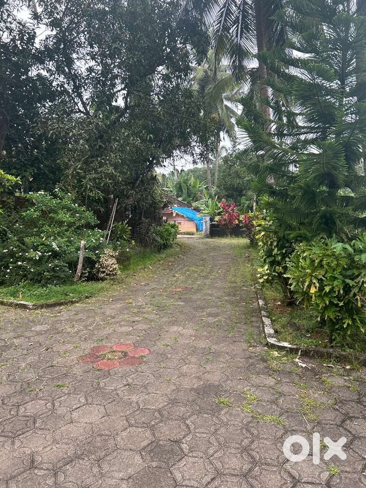 17 cents land with duplex house