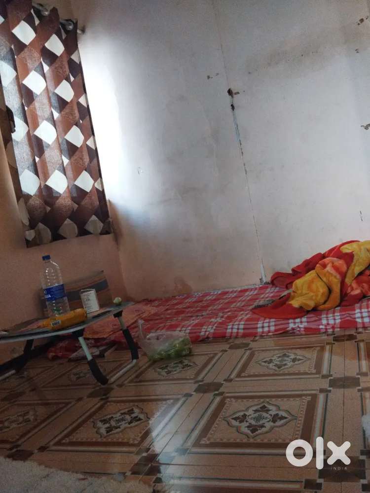 Want one roommate girl