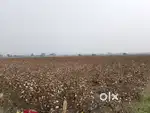 I want to sell my Land.. 2.90 hectares  7.50 Acar