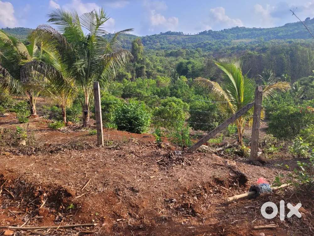 5Acre Fully Developed Farm