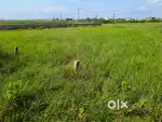 Aska Road plots Berhampur