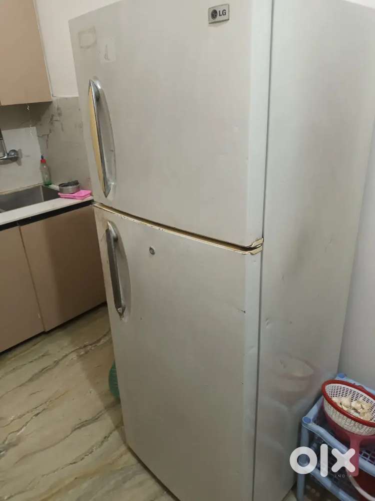 Freedge LG