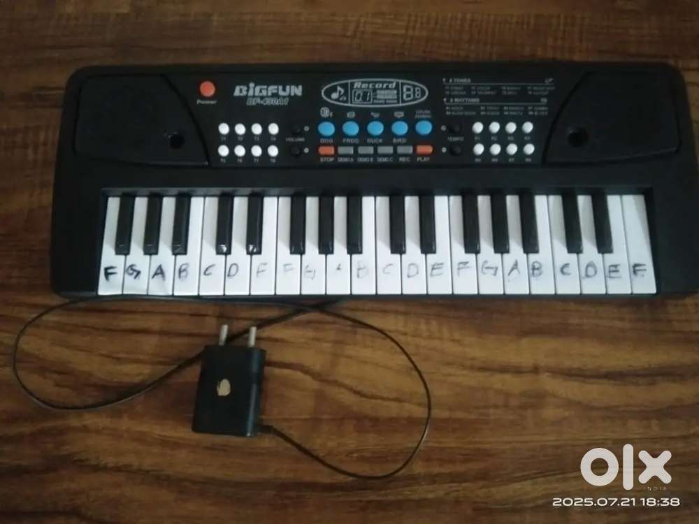 Electronic keyboard with charger