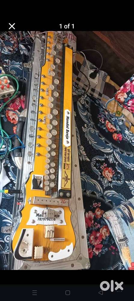Mondal banjo double pick up 31 keys German jublait harmonium