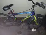 It is a one year old cycle