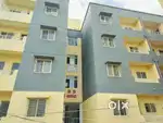 House on Rent