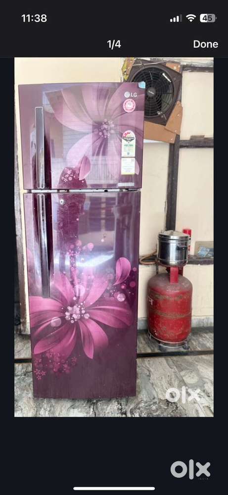 LG 308 litre Double Door Fridge