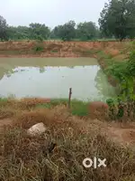 Agriculture and Farming work