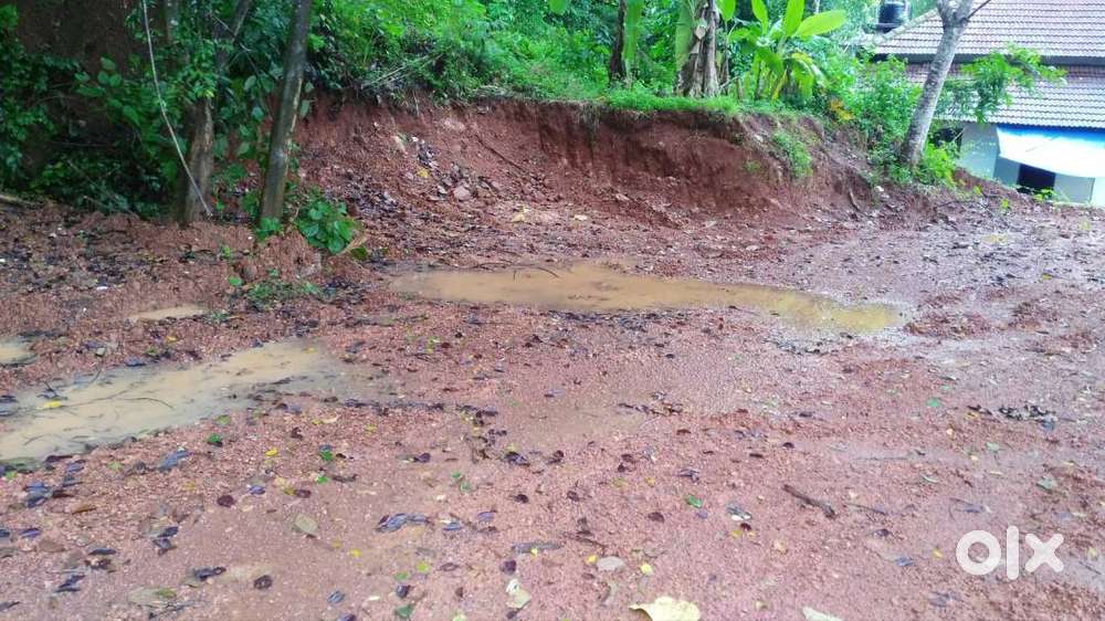 20 Cents land for sale in Dharmadam