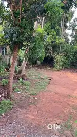 Aluva uc college near jyothinivas school 13 cent