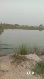 Firmland with Excellent potential potential for fisheries-For SALE