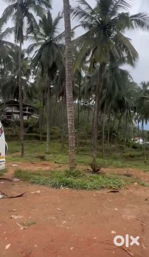 Commercial Plot for Sale