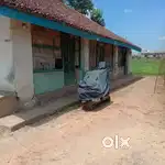 Owner property -990sq yards