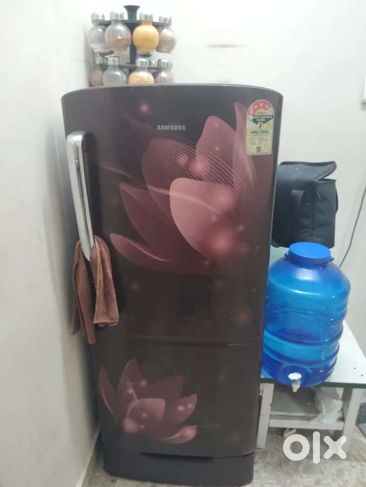 Fridge, Washing machine and Bunker bed