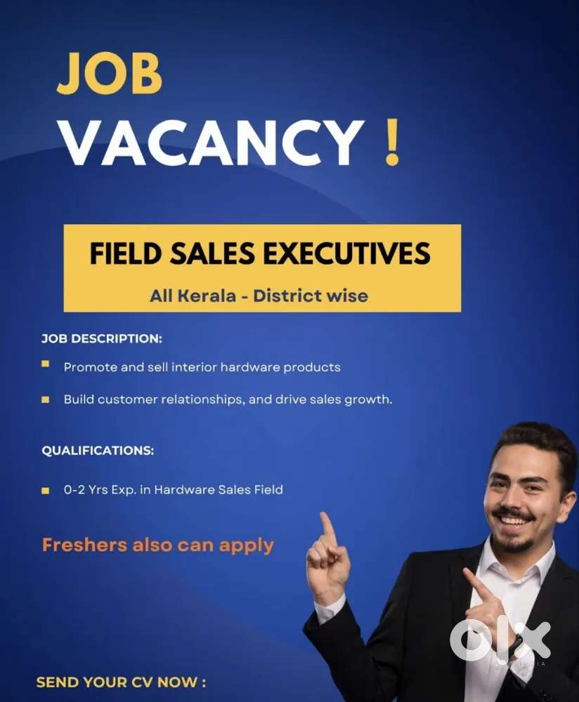 Sales and Marketing Executive