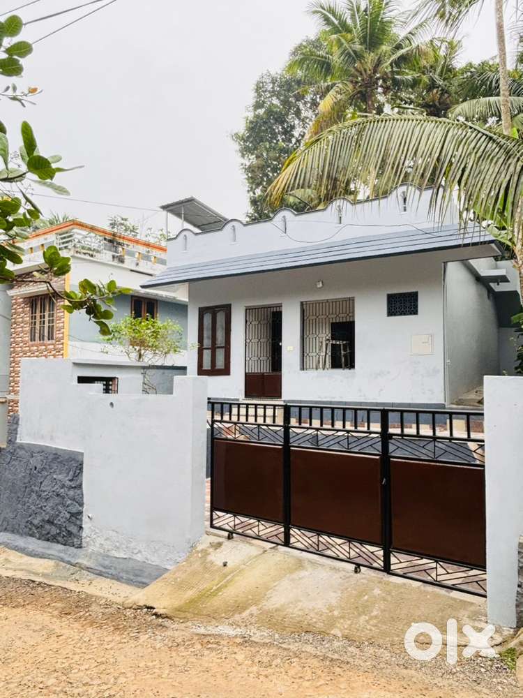 Indipendant House for Rent pet allowed after nenovation