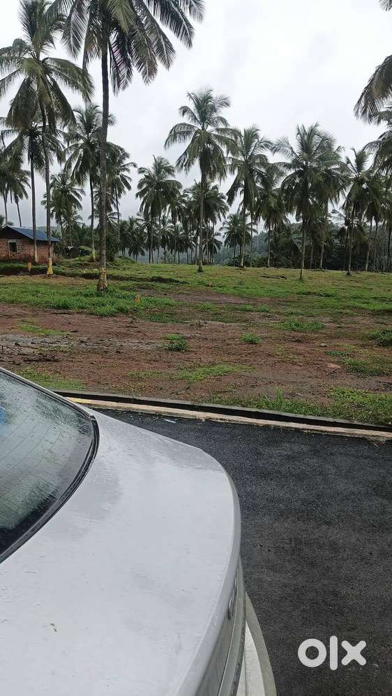 8 Cent House plot for sale in Viyyakurissi,Palakkad