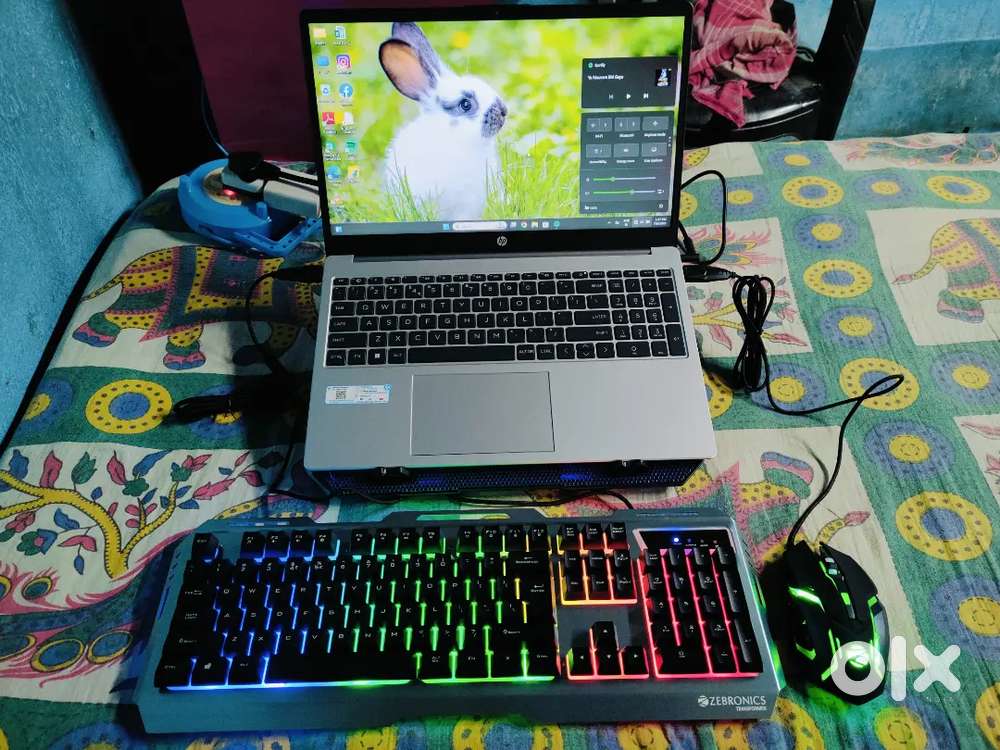 Hp 255 G10 (15.6) Inch Laptop, Ryzen 3 (8 GB RAM / 512 GB SSD)