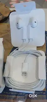 Apple wired earphone lightning port