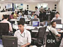 Clerk / Back Office Staff