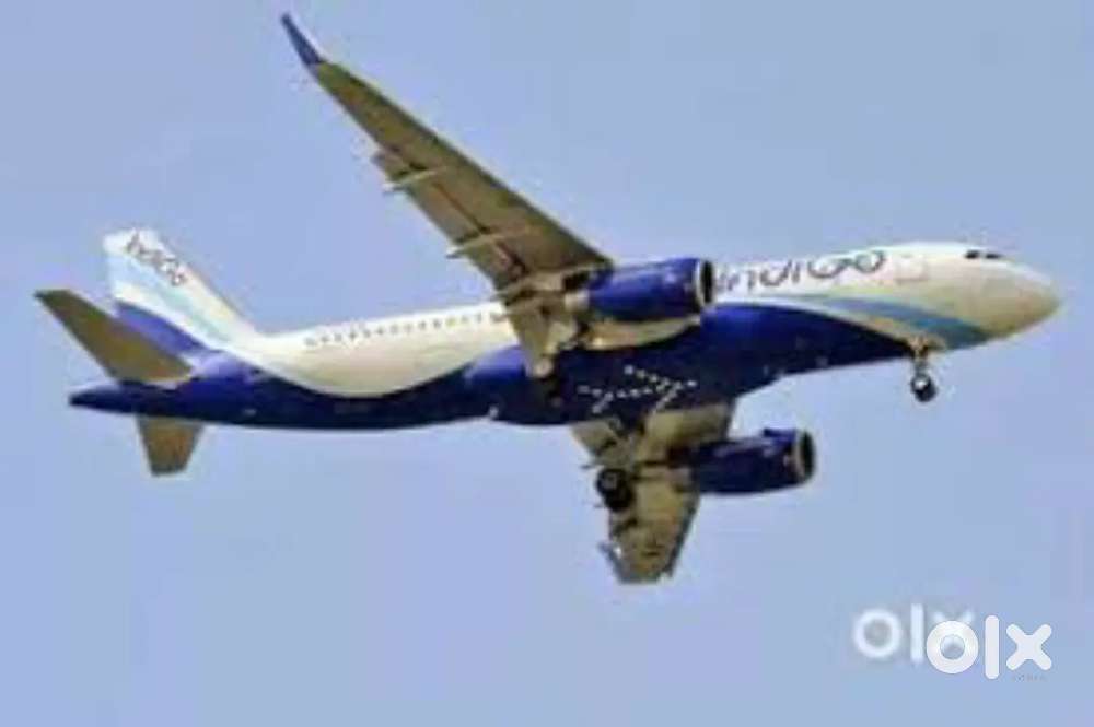 Domestic/International Airport Ground Staff Jobs in Indigo Airlines