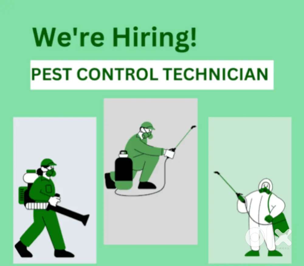 Pest Control Person