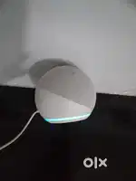 Amazon echo dot alexa