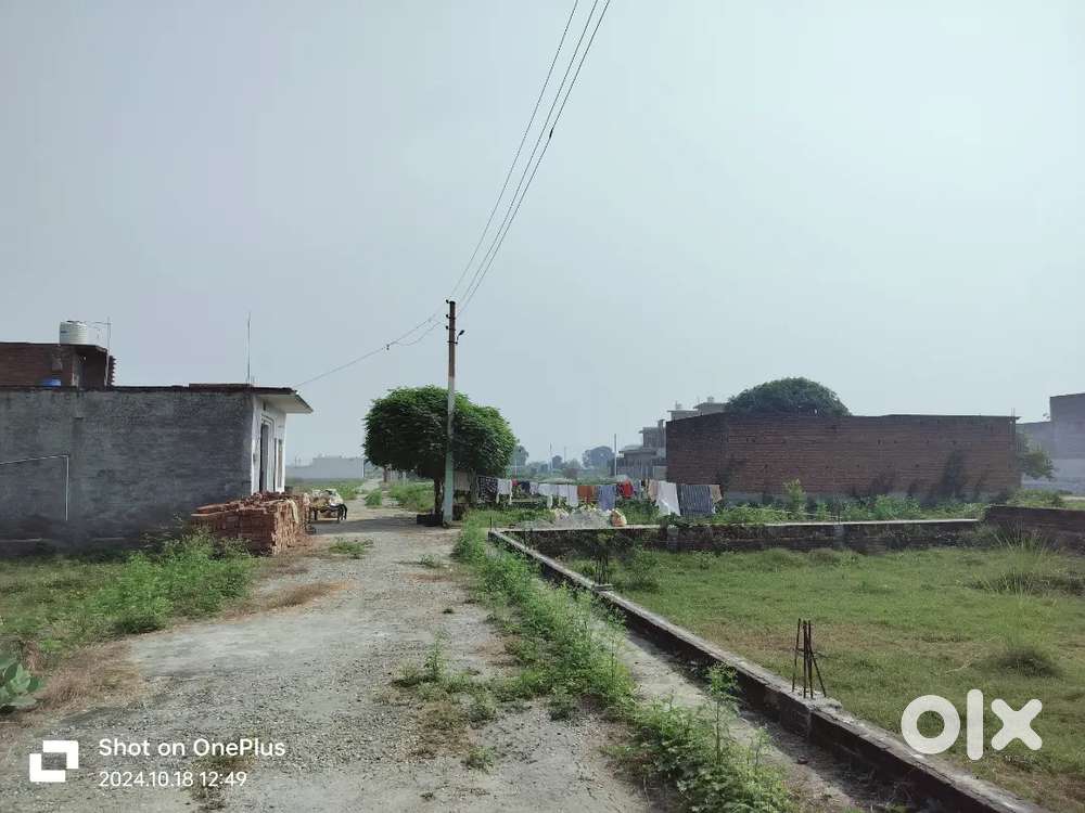 सस्ते रेट मै प्लेट