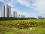 Urgent sale for plot