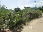 Plot for sale