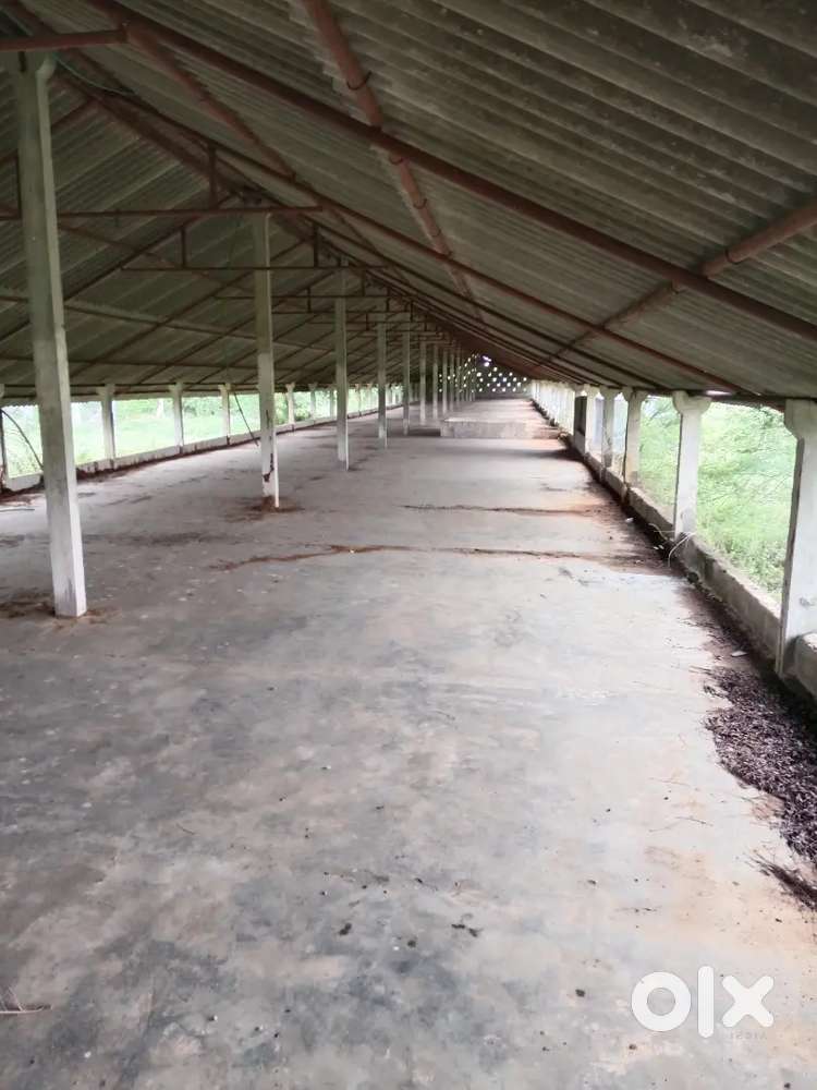 Land with chicken farm for sale immediately