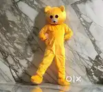 Taddy Bear Dress