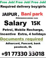 Parcel courier Bani park