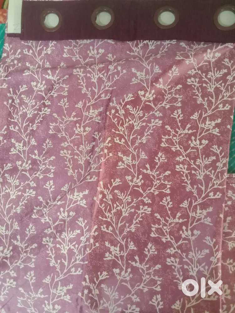 Curtains  new not use