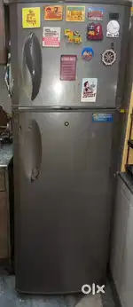 LG double door
