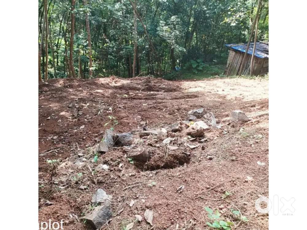 17 cent land for sale at Malayinkeezh