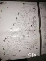 4 Biswa Abadi plot on Kali road in pure Ishwarnath