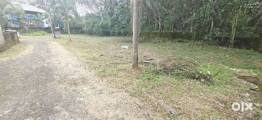 5CENT PLOT KAKKANAD PALLIKKARA NEAR INFOPARK