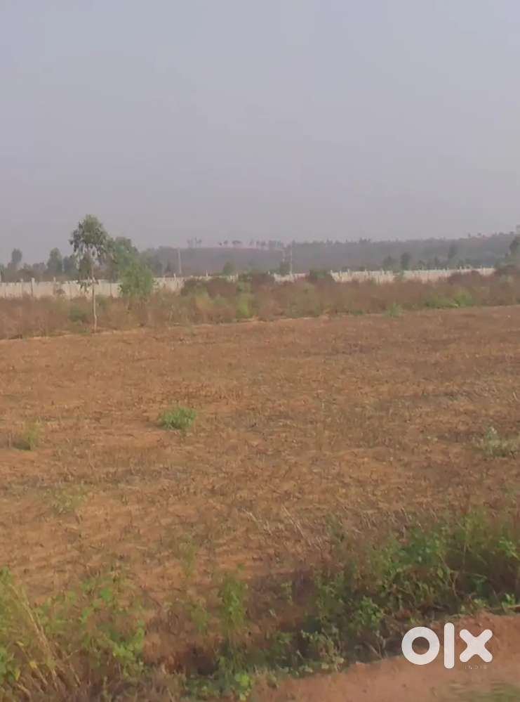 35 gunde for sale near hoskote