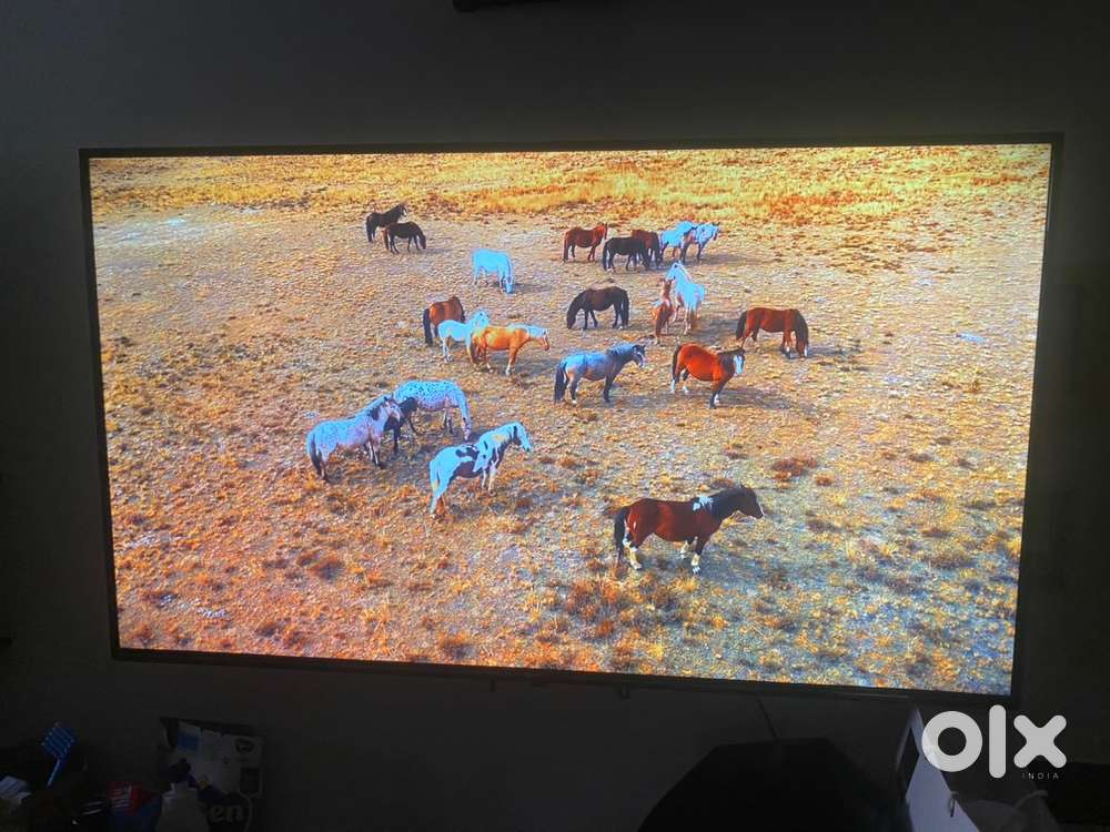 Amazon baics 55inch smart TV