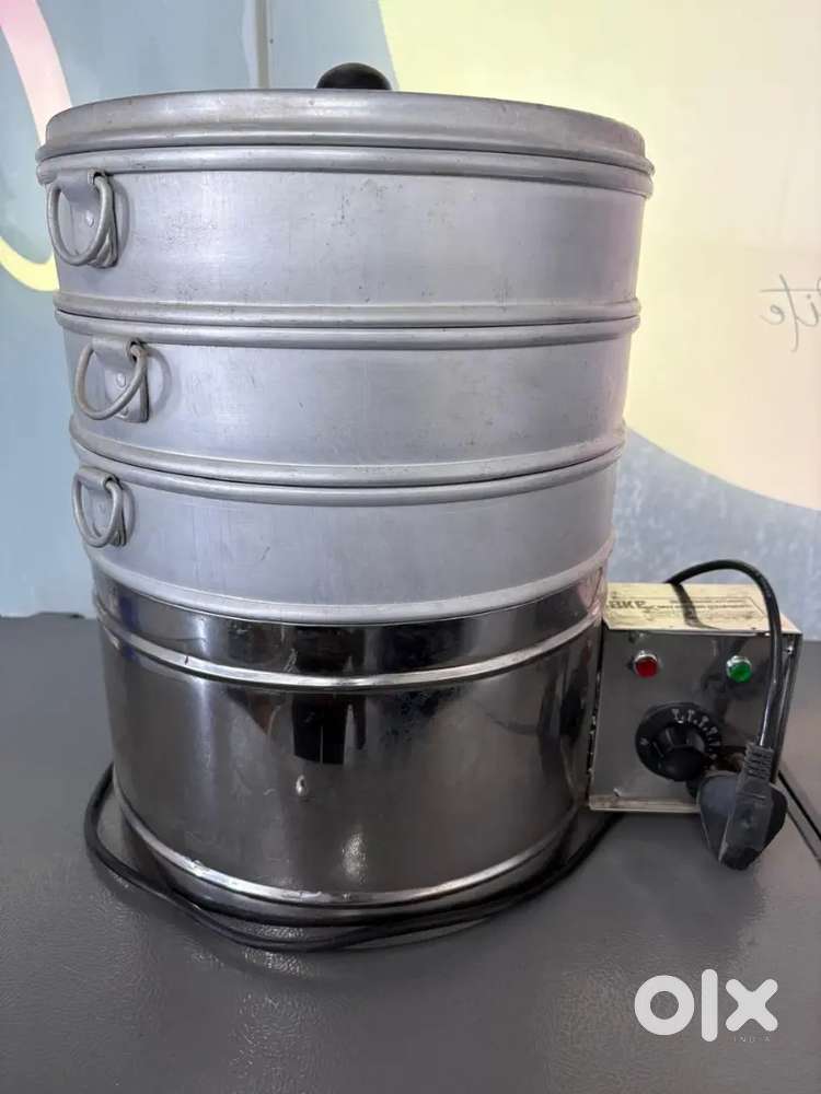 Electric Steamer