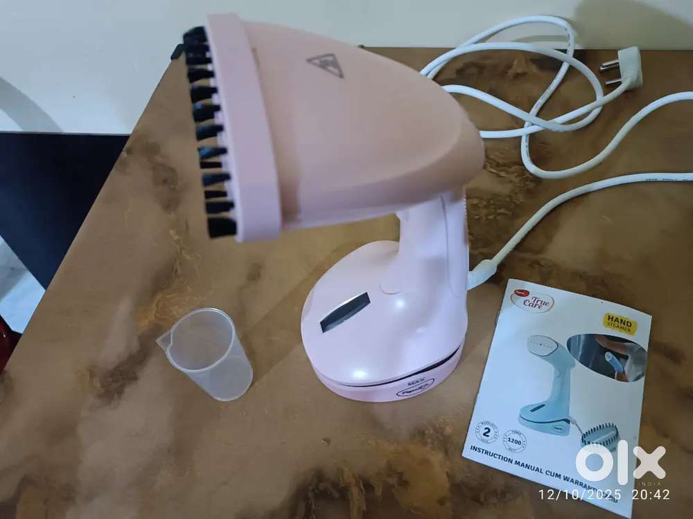 Hand Steamer (hand iron)