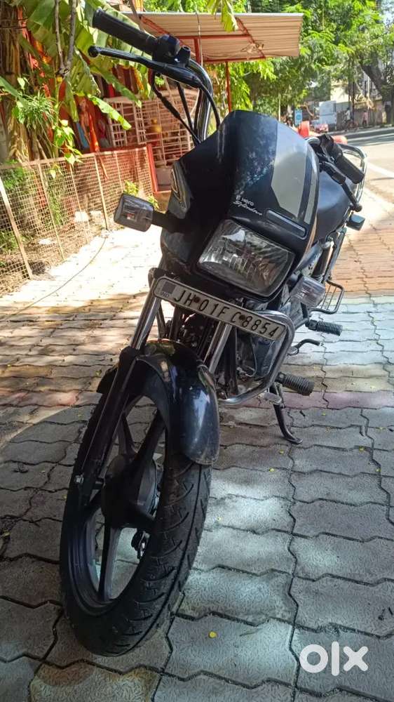 Black Splendor Plus for sale