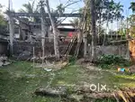 6katha patta land in tarapur assamese basti netaji nagar lane