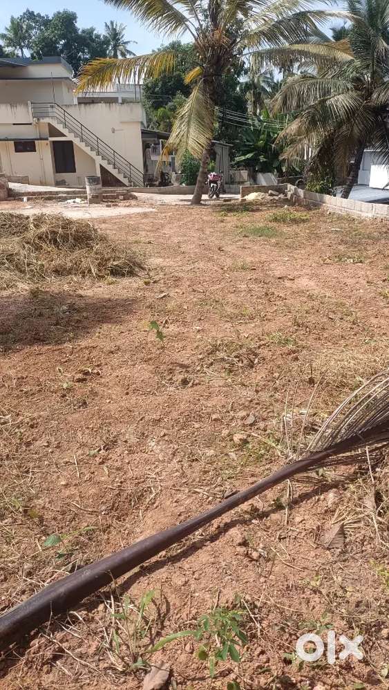 കച്ചണി പെട്രോൾ പമ്പ് അടുത്ത് 3.5/4.25സെന്റ്