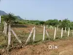 Site for sale at Saripalli, Anakapalle