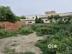 Plot for Sale
