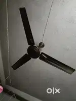 Ceiling fan