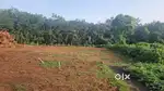 8,10 CENT PLOTS NEAR ANICKADU ,PALLACKATHODU