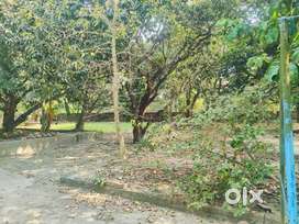 LAND FOR SALEE IN BARUIPUR